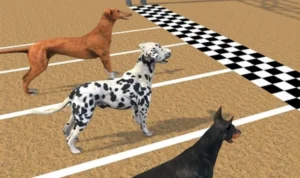 Khám Phá Cách Chơi Game Nhanh Đua Chó Tại PG88: Hành Trình Giải Trí Đỉnh Cao