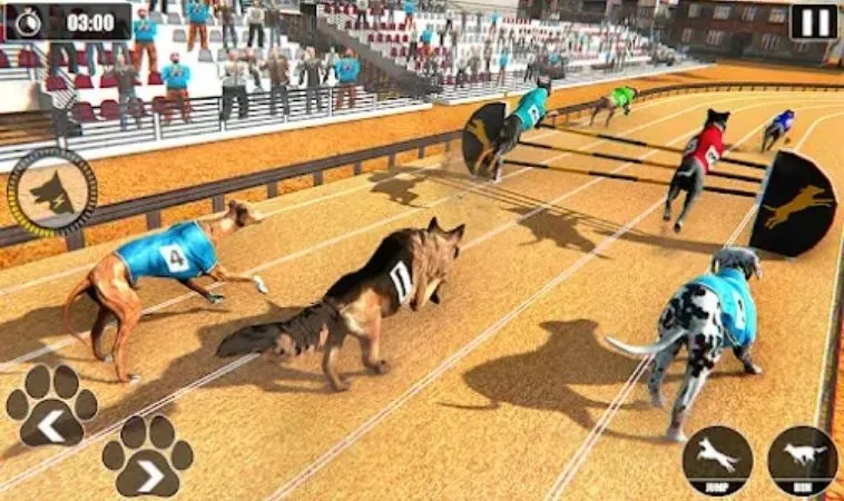 Khám Phá Cách Chơi Game Nhanh Đua Chó Tại PG88: Hành Trình Giải Trí Đỉnh Cao 2 Khám Phá Cách Chơi Game Nhanh Đua Chó Tại PG88: Hành Trình Giải Trí Đỉnh Cao